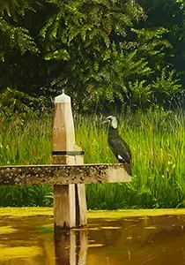 Aalscholven, paneel 50x70