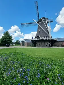 De molen van Oene vormt een herkenbaar gezicht in het landschap(