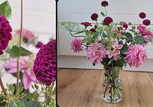 Bloemen uit de pluktuin