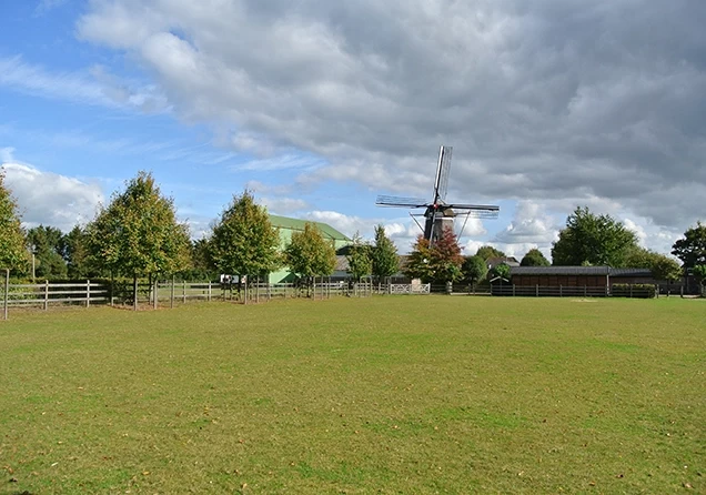 Korenmolen “Werklust” 